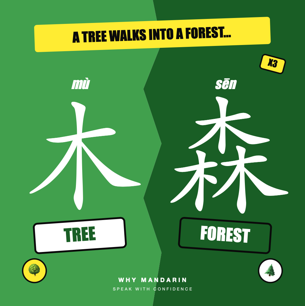 Visual guide showing 木 becoming 森 through repeated Chinese characters